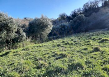 18 RIPATRANSONE - RUDERE CON TERRENO E VISTA PANOR - Casale cantina Cocci Grifoni, Ripatransone - photo 17
