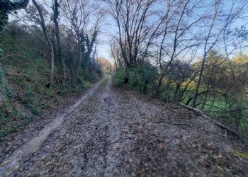 19 RIPATRANSONE - RUDERE CON TERRENO E VISTA PANOR - Casale cantina Cocci Grifoni, Ripatransone - photo 18