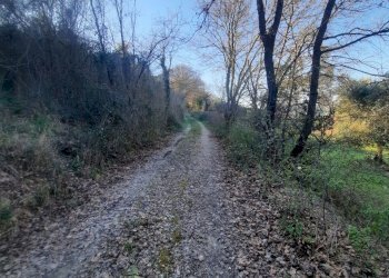 20 RIPATRANSONE - RUDERE CON TERRENO E VISTA PANOR - Casale cantina Cocci Grifoni, Ripatransone - photo 19
