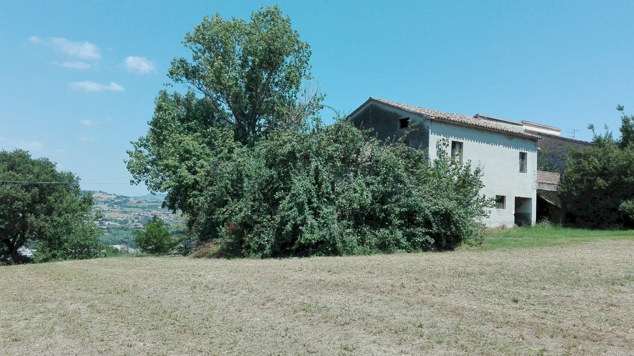 04 CONTROGUERRA CASOLARE  DA RISTRUTTURARE IN ADER - Casa indipendente Controguerra - foto 3