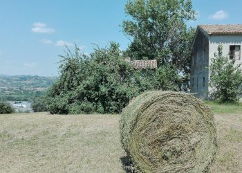 02 CONTROGUERRA CASOLARE  DA RISTRUTTURARE IN ADER - Casa indipendente Controguerra - foto 14