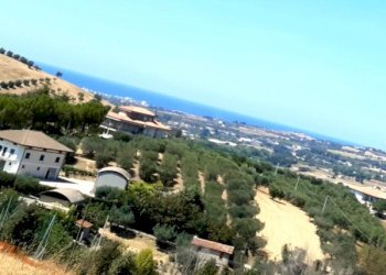 04 TORTORETO - COUNTRY HOUSE DA RISTRUTTURARE.jpg - Albergo - Struttura ricettiva Tortoreto - foto 4