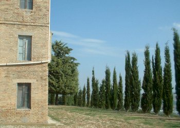 09 CASOLARE DI CAMPAGNA DA RISTRUTTURARE.JPG - Casa indipendente Fermo - foto 9