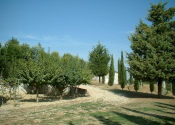 14 CASOLARE DI CAMPAGNA DA RISTRUTTURARE.JPG - Casa indipendente Fermo - foto 14