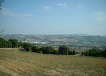 18 CASOLARE DI CAMPAGNA DA RISTRUTTURARE.JPG - Casa indipendente Fermo - foto 18