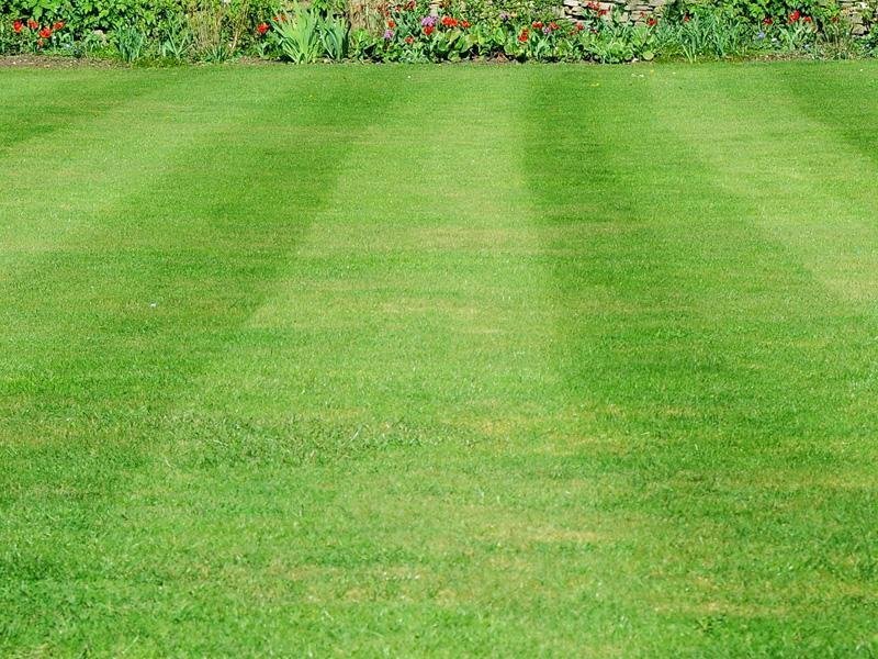 _prato_inglese.jpg - Hotel - Accommodation facility Bari - photo 3