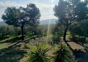 Casa indipendente Monteprandone - foto 5