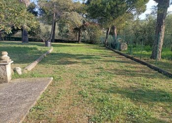 Casa indipendente Monteprandone - foto 7