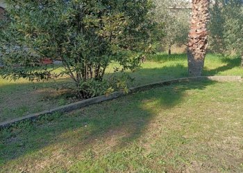 giardino - Casa indipendente Monteprandone - foto 28