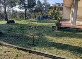 giardino - Casa indipendente Monteprandone - foto 29