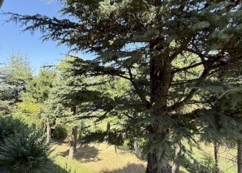 vista - Casa indipendente Viale Gramsci 711, Zocca - foto 26