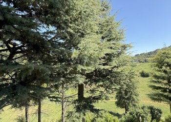 vista - Casa indipendente Viale Gramsci 711, Zocca - foto 27