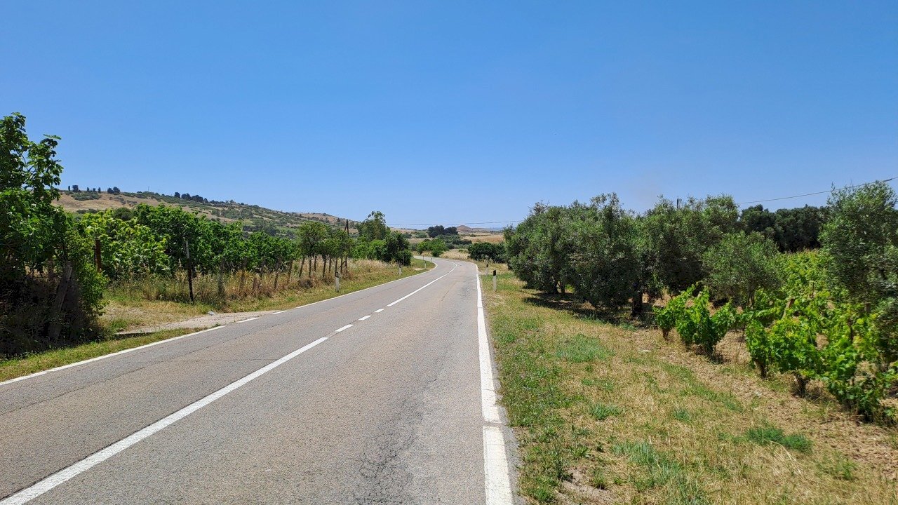 SSP 12 verso Settimo  (2).jpg - Agricultural land Settimo San Pietro - photo 3