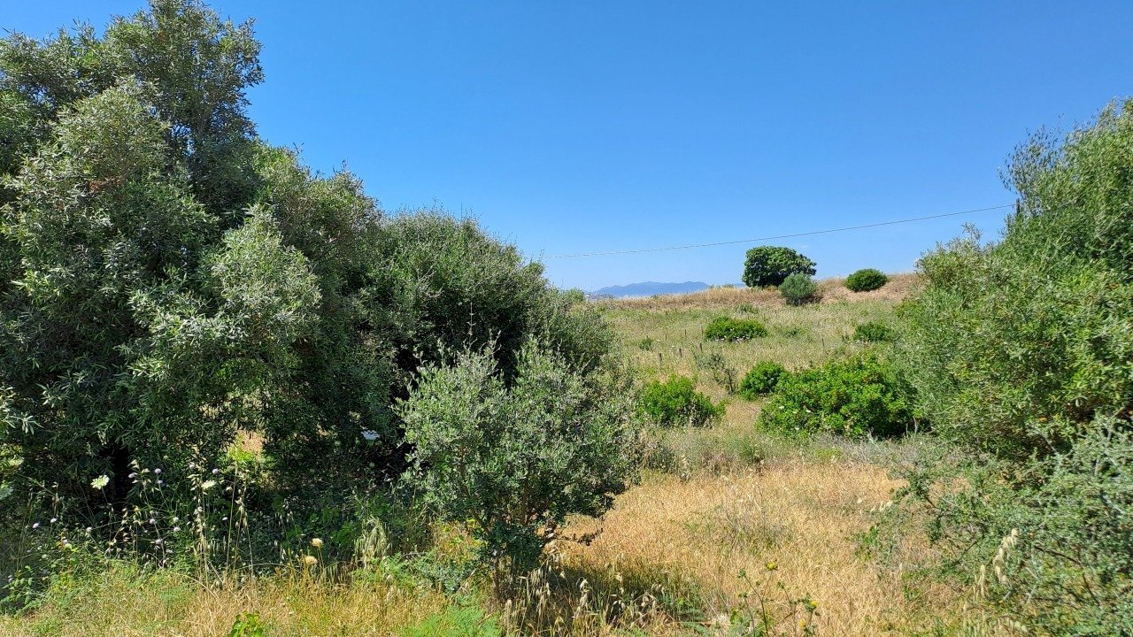 terreno piccolo (1).jpg - Agricultural land Settimo San Pietro - photo 1