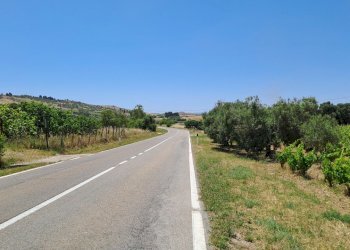 SSP 12 verso Settimo  (2).jpg - Terreno agricolo Settimo San Pietro - foto 3