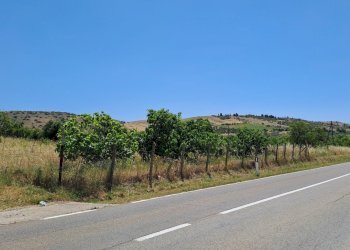 terreno grande fronte srada (2).jpg - Terreno agricolo Settimo San Pietro - foto 5