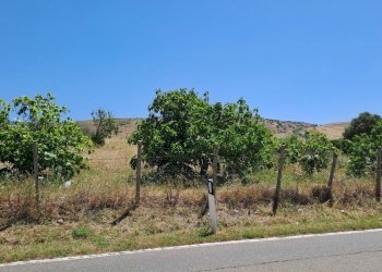 terreno grande fronte srada (3).jpg - Terreno agricolo Settimo San Pietro - foto 6