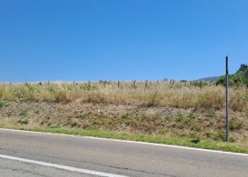 terreno piccolo frobnte strada (1).jpg - Terreno agricolo Settimo San Pietro - foto 11