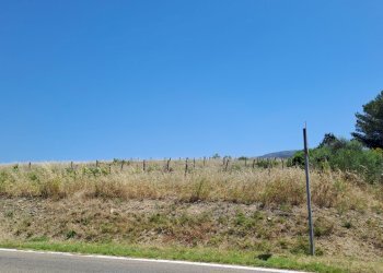 terreno piccolo frobnte strada (2).jpg - Terreno agricolo Settimo San Pietro - foto 12