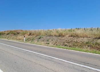 terreno piccolo frobnte strada (3).jpg - Terreno agricolo Settimo San Pietro - foto 13