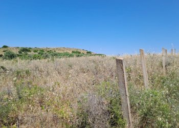 Terreno piccolo verso nord (1).jpg - Terreno agricolo Settimo San Pietro - foto 14