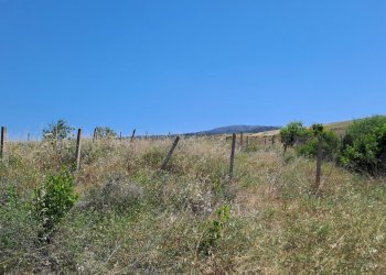 Terreno piccolo verso nord (2).jpg - Terreno agricolo Settimo San Pietro - foto 15