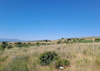 Terreno piccolo verso nord (3).jpg - Terreno agricolo Settimo San Pietro - foto 16