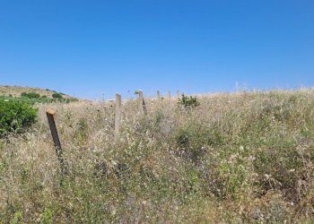 Terreno piccolo verso nord (4).jpg - Terreno agricolo Settimo San Pietro - foto 17