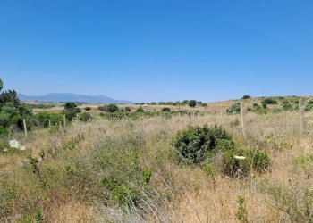 Terreno piccolo verso ovest (1).jpg - Terreno agricolo Settimo San Pietro - foto 18