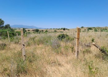 Terreno piccolo verso ovest (2).jpg - Terreno agricolo Settimo San Pietro - foto 19