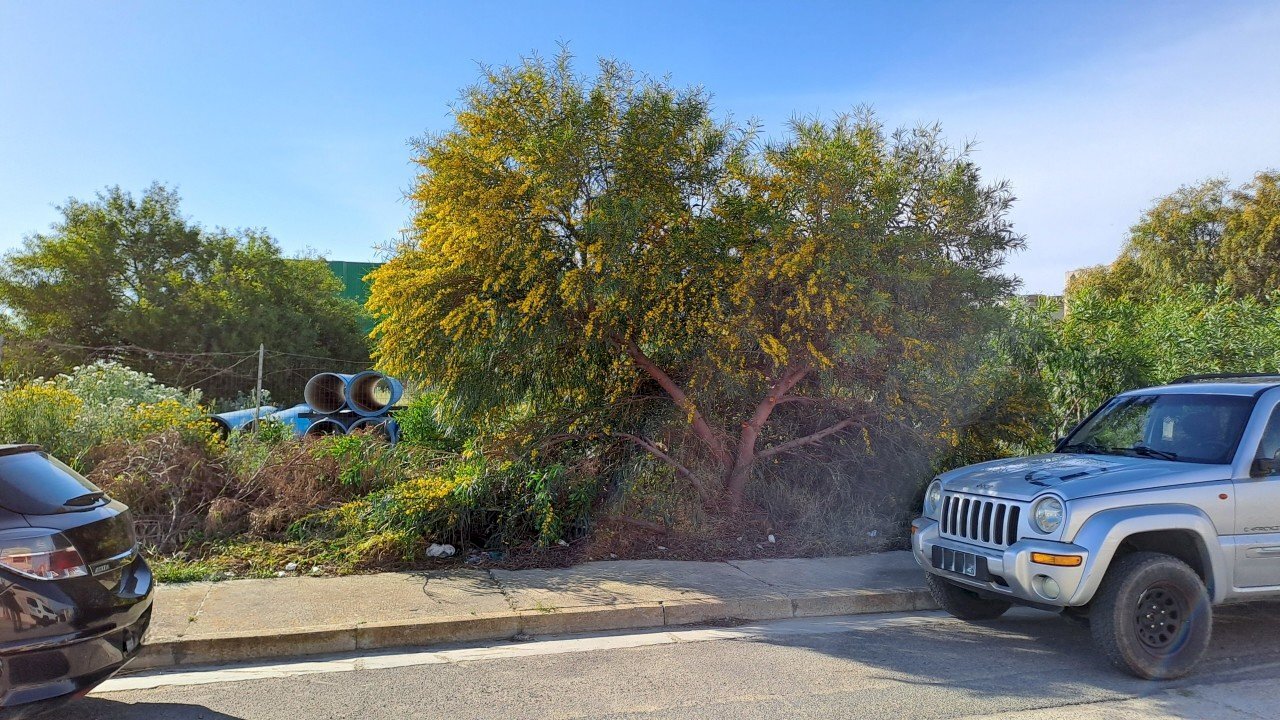 ingresso attuale.jpg - Terreno edificabile Selargius - foto 2