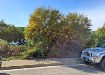 ingresso attuale.jpg - Terreno edificabile Selargius - foto 2