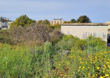 verso strada e cabina elettrica (1).jpg - Terreno edificabile Selargius - foto 4