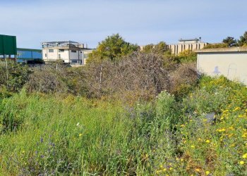 verso strada e cabina elettrica (2).jpg - Terreno edificabile Selargius - foto 5