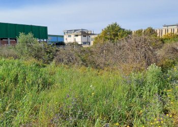 verso interno (2).jpg - Terreno edificabile Selargius - foto 7