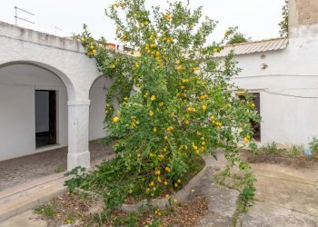 Cortile.jpg - Casa indipendente Monserrato - foto 11