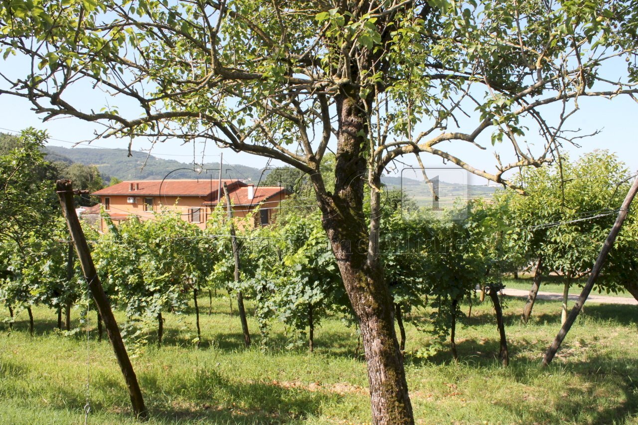 IMG_8517.JPG - Villa Vicenza - foto 1