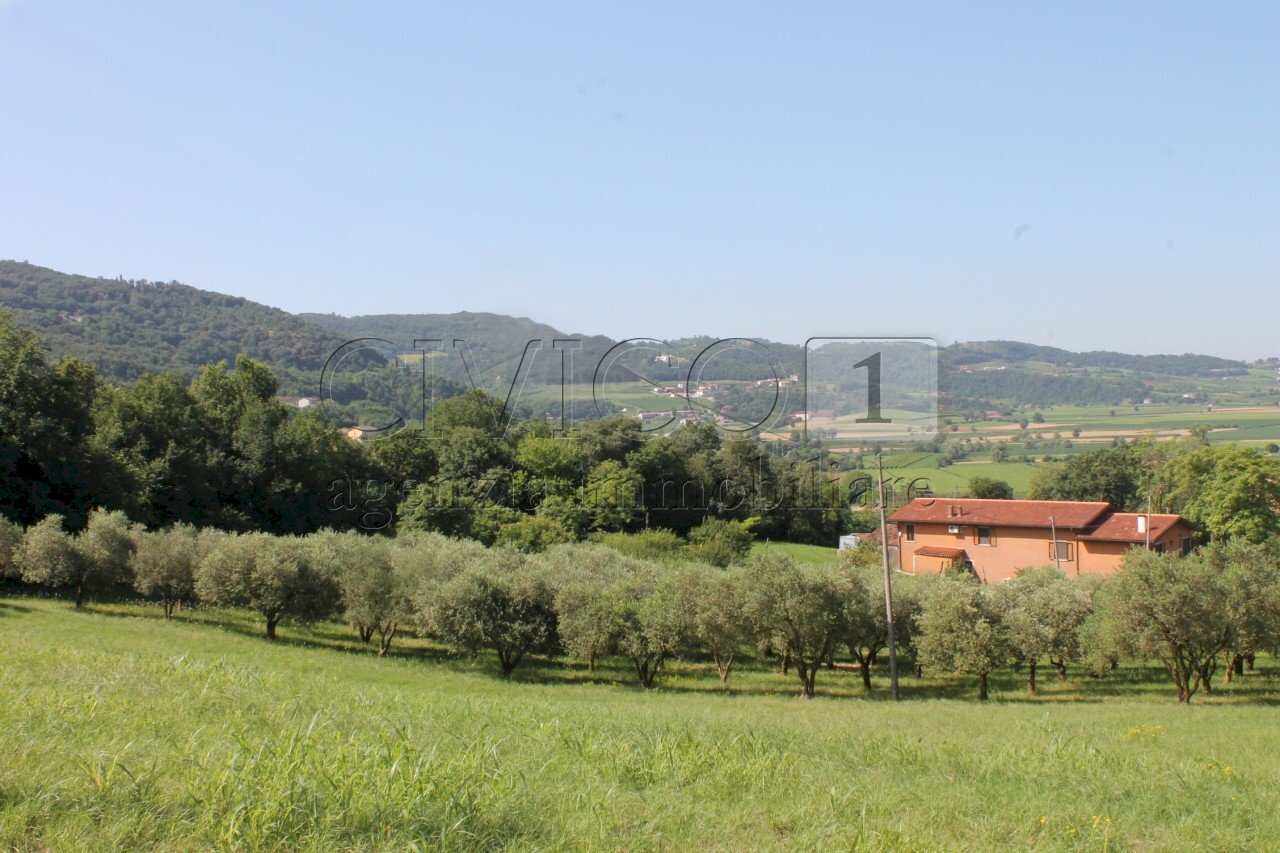 IMG_8523.JPG - Villa Vicenza - foto 2