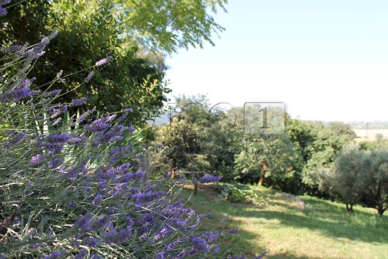 IMG_8490.JPG - Villa Vicenza - foto 3