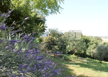 IMG_8490.JPG - Villa Vicenza - foto 3