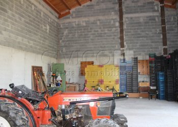 IMG_8507.JPG - Villa Vicenza - foto 10