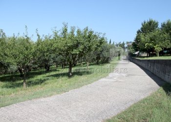 IMG_8512.JPG - Villa Vicenza - foto 15