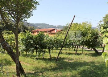 IMG_8514.JPG - Villa Vicenza - foto 16