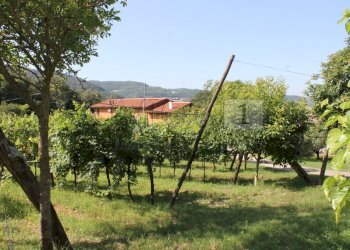 IMG_8515.JPG - Villa Vicenza - foto 17