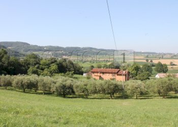 IMG_8519.JPG - Villa Vicenza - foto 19