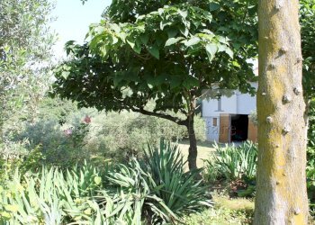 IMG_8537.JPG - Villa Vicenza - foto 26