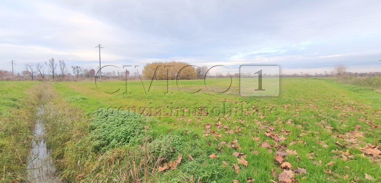 FOTO (2).jpeg - Agricultural land Via Vicenza snc, Camisano Vicentino - photo 1
