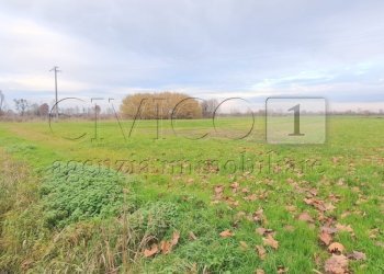 FOTO (2).jpeg - Terreno agricolo Via Vicenza snc, Camisano Vicentino - foto 1