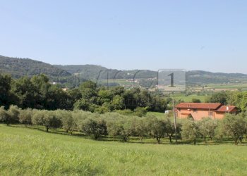 IMG_8523.JPG - Villa Brendola - foto 3