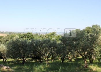 IMG_8493.JPG - Villa Brendola - foto 4